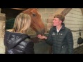 William whitaker talking puissance