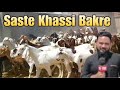 Sast mein mast  budget goats of ashrafi goat farm hanumangarh