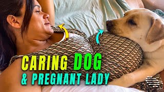 Dog Laying on the Belly of a Pregnant Lady