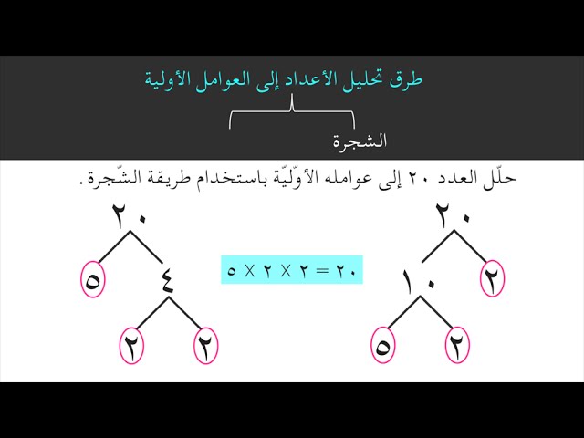 ٢٤ عوامله العدد هو الأولية …. تحليل الى حل سؤال