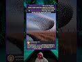 Sin cerebro Sin líder Solo 10 000 aves moviéndose como una sola