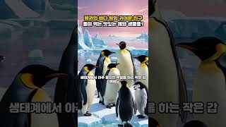 펭귄의 바다 탐험 귀여운 친구들이 먹는 맛있는 해양 생물들1#펭귄 #바다탐험 #반려동물 #생태계