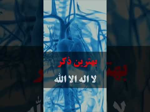 راز ذکر لا اله الا الله در سلوک عرفانی آغاز راه عاشقان خدا مولانا عرفان اسلامی