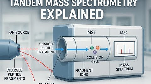 Tandem Mass Spectrometry (MS/MS) | Analytical Technique Animation for CSIR NET & Life Science Exams