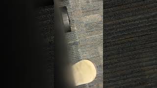 IMG 4150