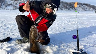 видео: СЕРДЦЕ ЗАМЕРЛО, КОГДА ИЗ НИОТКУДА ПОЯВИЛСЯ ЭТОТ МОНСТР и НАЧАЛ ЖРАТЬ КАМЕРУ! НАЛИМ,СИГ! Рыбалка 2024 картинка: СЕРДЦЕ ЗАМЕРЛО, КОГДА ИЗ НИОТКУДА ПОЯВИЛСЯ ЭТОТ МОНСТР и НАЧАЛ ЖРАТЬ КАМЕРУ! НАЛИМ,СИГ! Рыбалка 2024