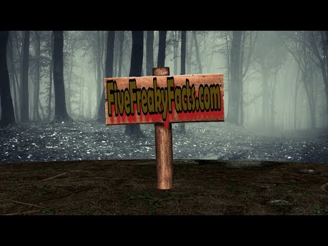 5 Things YOU Didn't Know About WWII's Creepiest Sleep Experiment (REUPLOAD)