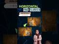 How to Flip a PNG Horizontally Without Losing Quality!
