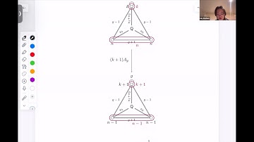 Deshuo Liu - Multiloop Quiver Contraction