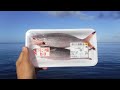 スーパーの魚を丸ごとエサにしてみた