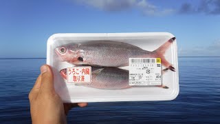 スーパーの魚を丸ごとエサしてみた