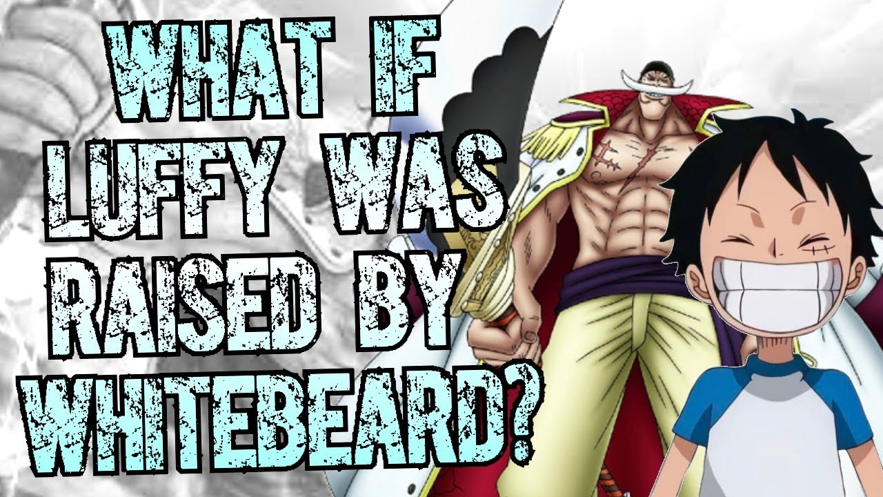 What if Luffy was raised by white beard?