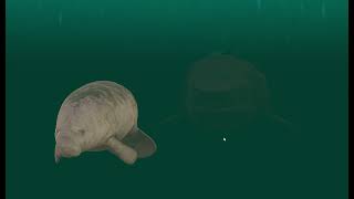 Megalodon animation