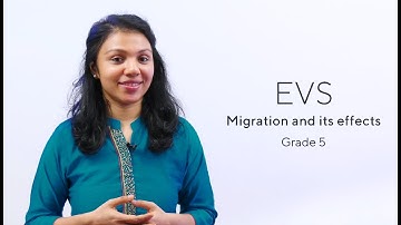 Grade 5 || EVS || Unit 1- Migration and its effects