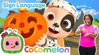 spooky pumpkin halloween song learn asl baby sign language