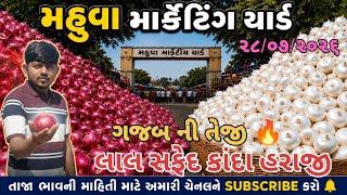 તેજી સાથે લાલ કાંદા 632 🔥 screenshot 3