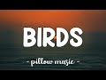 Birds - Imagine Dragons (Lyrics) 🎵