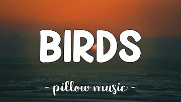 Birds - Imagine Dragons (Lyrics) 🎵