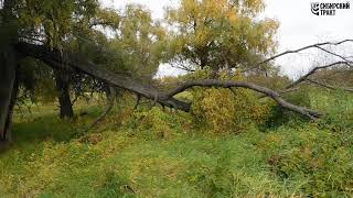 Старая дорога из Тюкалинска в Омск