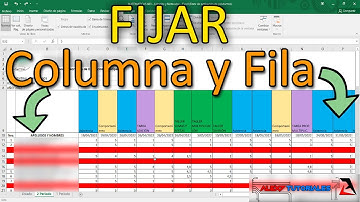 Inmovilizar (Fijar) Filas y Columnas - Excel 🔢