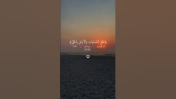 #viral #راحة_نفسية #quran #قرآن #سورة #fyp #سورة_الزمر