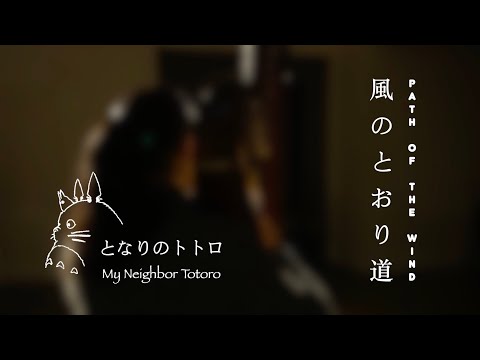 となりのトトロ My Neighbor Totoro《風のとおり道》Path of the Wind | Renee Qin Harp Cover