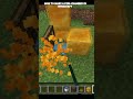 WOKING PEARL CHAMBER  IN MINECRAFT BEDROCK EDITION #minecraft #viral #new