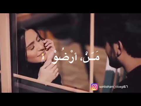 ستوري حب محمد المجذوب الحب الحب كلو على بعضو 