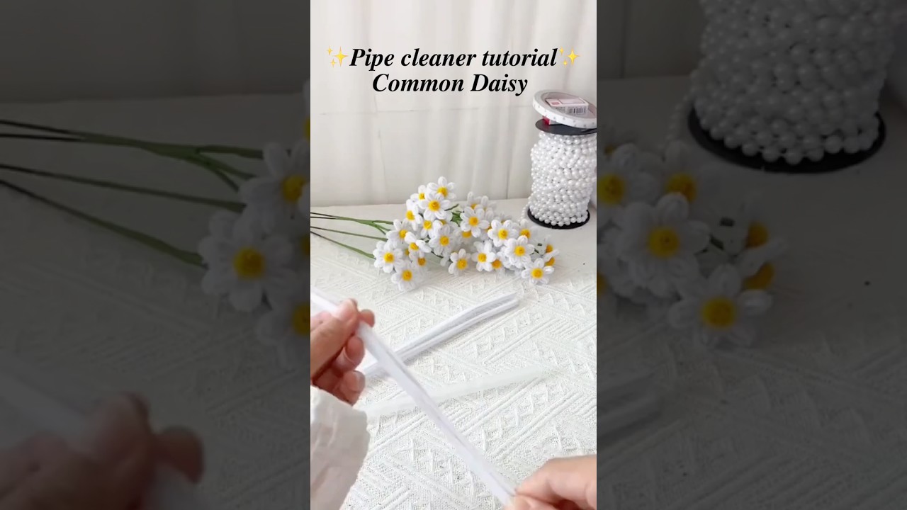 Simple pipe cleaner tutorial: common daisy