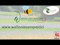 Campagne Wallonie sans pesticides