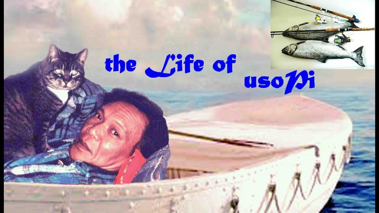 CONFESSION OF A CAT LOVER