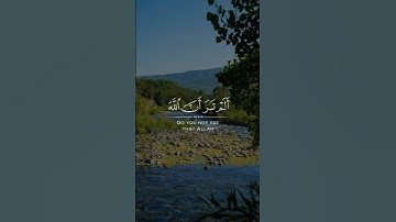☘️ألم تر أن الله 🎙️المقرئ: عبد الله الخلف📖سورة الحج💫 |الآية {63}|