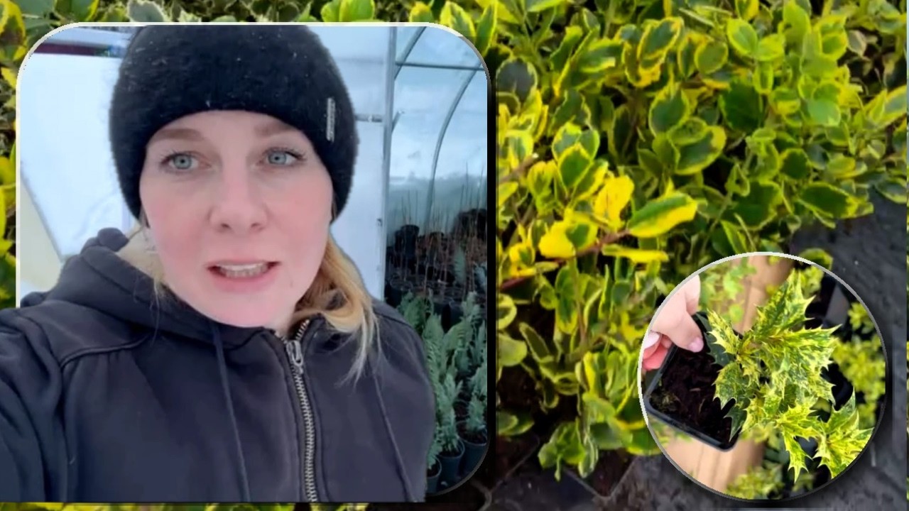 Ви не повірите, які рослини вже приїхали 🌿