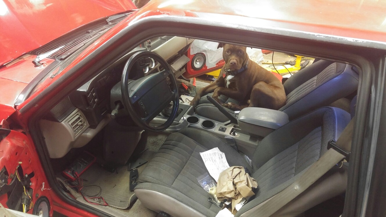 How to remove a door panel on a foxbody mustang YouTube