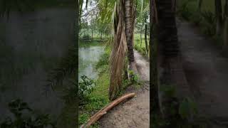 2--