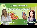 О связи питания и здоровья сердечно-сосудистой системы