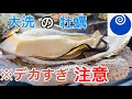 【大洗町】地元で大人気のカキ小屋に行ってきました