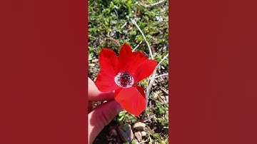 ❤️ القران الكريم ❤️ #اكسبلور #الراحة_النفسية #ماهر_المعيقلي