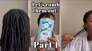 Combing out my locs | PART 1 | Naomi Onlae