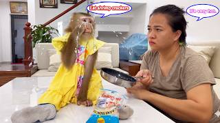 Monkey Lyly is DISAPPOINTED because her mother refused to cook for her, and the truth behind it.