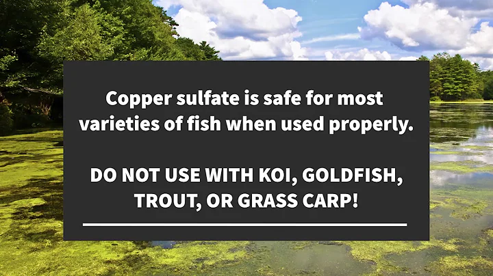 Copper Sulfate Granular Pond Algae Control