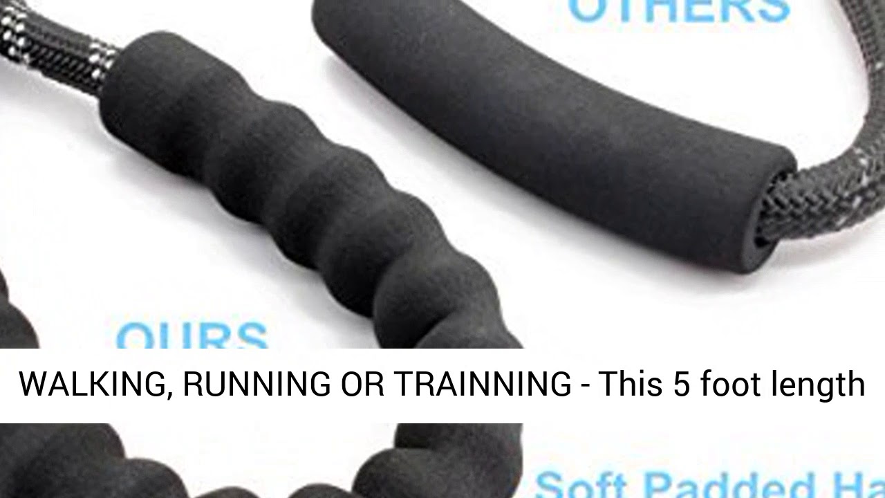 BAAPET 5 FT Strong Dog Leash with Comfortable Padded Handle and Highly Reflective Threads