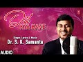 Dil kya kare  hindi song  dr s k samanta  tseries