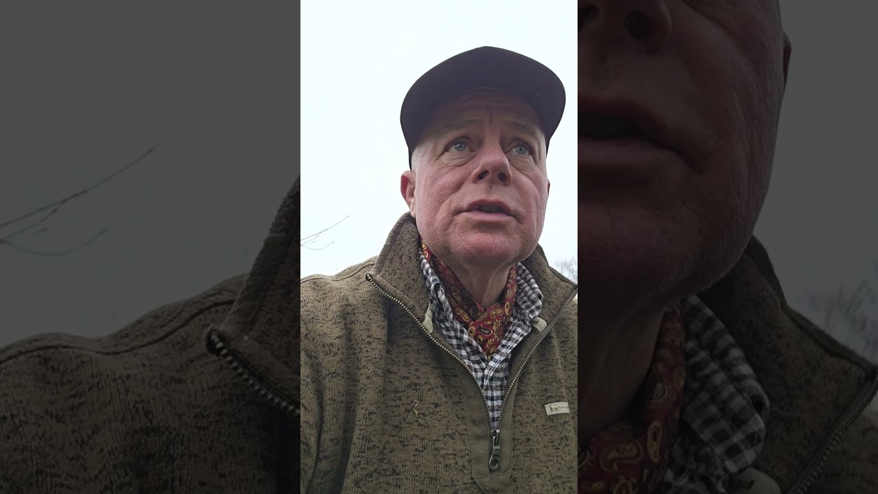 Добрый вечер, сегодняшний день был замечательным! Встречайте Брендона.