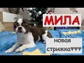 У Милы новая стрижка♥♥♥