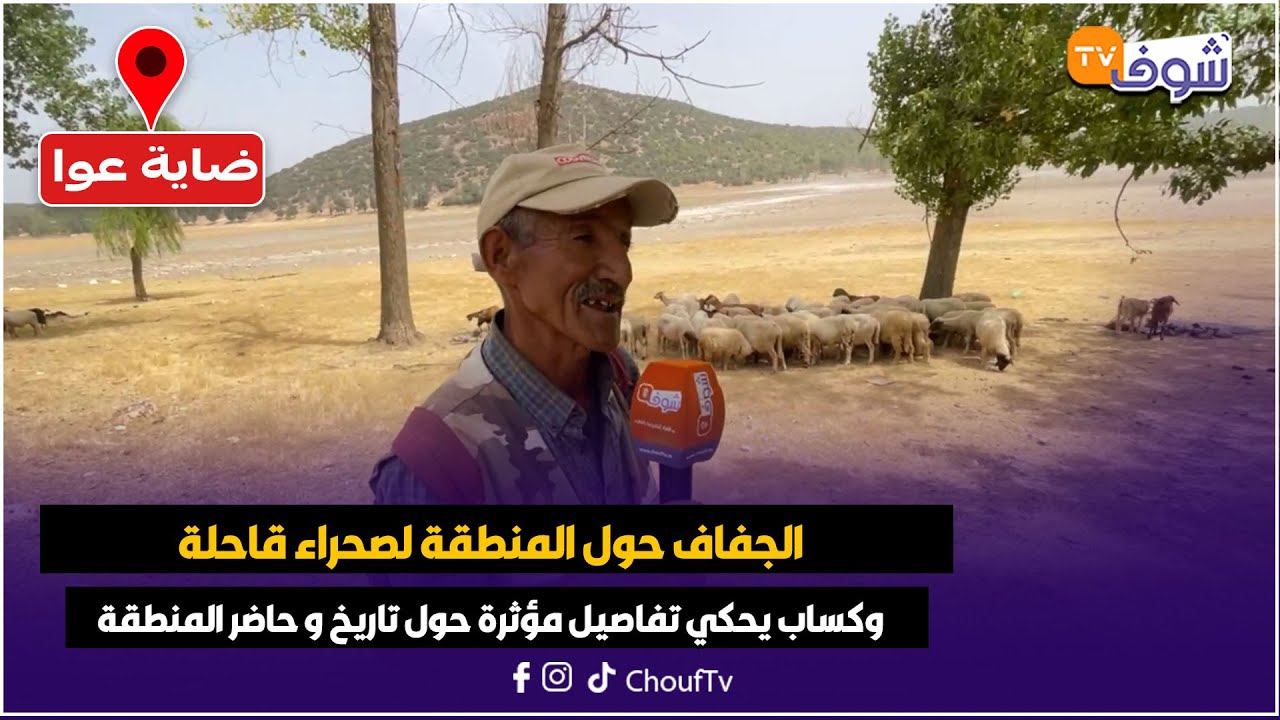 مباشرة من ضاية عوا: الجفاف حول المنطقة لصحراء قاحلة وكساب يحكي تفاصيل ...