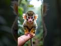 Unbelievable Monkey Facts | Just Like Humans! 🧠❤️ #shorts #facts #monkey #wildlife