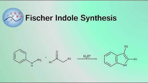 Fischer Indole Synthesis Mechanism | Organic Chemistry