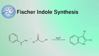Fischer Indole Synthesis Mechanism | Organic Chemistry
The mechanism for a Fischer Indole reaction in which an aromatic heterocycle is produced from a phenylhydrazine and aldehyde or ketone under acidic conditions. Various Bronsted acids as well as Lewis acids are often used as the acid catalysts for this reaction.
Music: Freefall – YouTube Audio Library Fischer Indole Synthesis Mechanism | Organic Chemistry