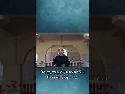 Video: Мышыктын эс тутуму кандай